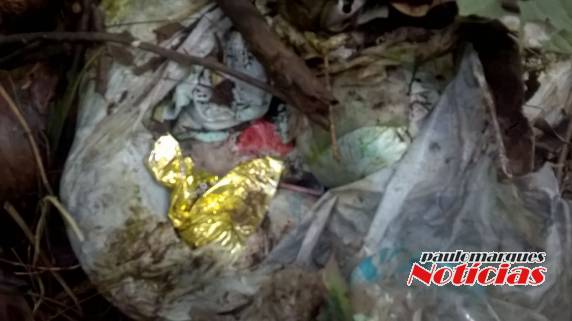 Munícipe boa-vistense denúncia crime ambiental em Boa Vista do Buricá - foto 2