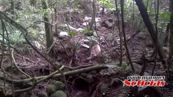 Munícipe boa-vistense denúncia crime ambiental em Boa Vista do Buricá - foto 5