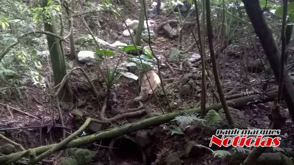 Munícipe boa-vistense denúncia crime ambiental em Boa Vista do Buricá - foto 4