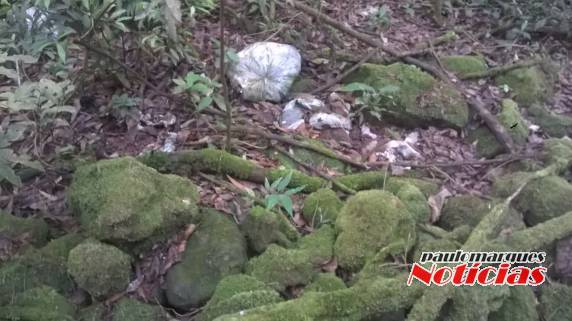 Munícipe boa-vistense denúncia crime ambiental em Boa Vista do Buricá - foto 3