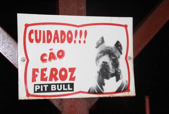 Homem é morto por cães da raça Pitbull ao
tentar entrar em oficina mecânica em Santiago - foto 4
