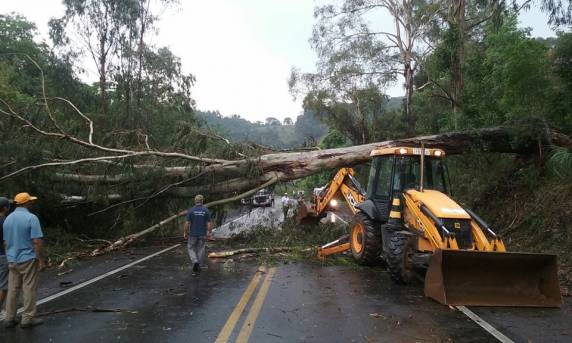 Árvores caem sobre dois carros em Nova Prata trancam avenida e BR 470 - foto 4