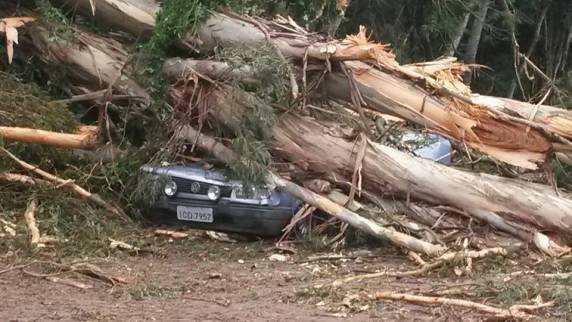 Árvores caem sobre dois carros em Nova Prata trancam avenida e BR 470 - foto 6