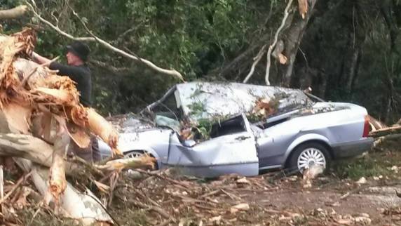 Árvores caem sobre dois carros em Nova Prata trancam avenida e BR 470 - foto 5