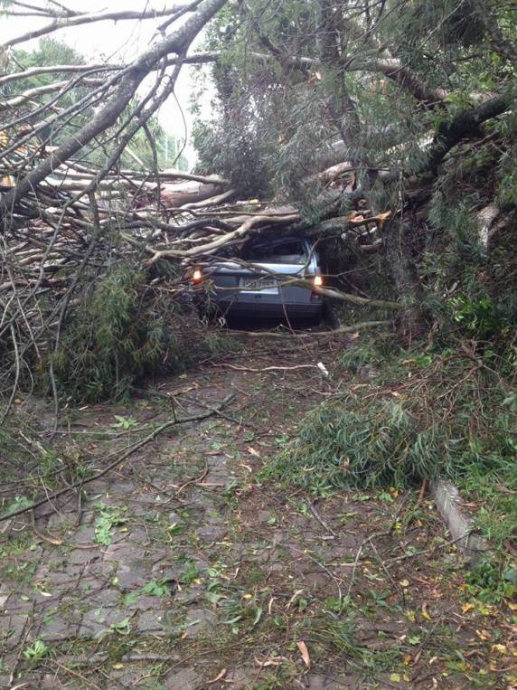Árvores caem sobre dois carros em Nova Prata trancam avenida e BR 470 - foto 7