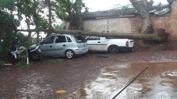 Árvore caiu sobre 

dois carros e uma moto em Miraguaí