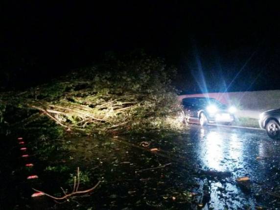 Motorista de carro esmagado por árvore perde parte dos movimentos - foto 3