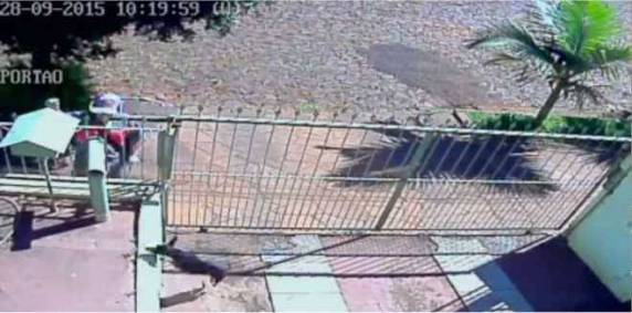 RGE divulga nota sobre agressão a um 

cão em Cerro Largo (RS)