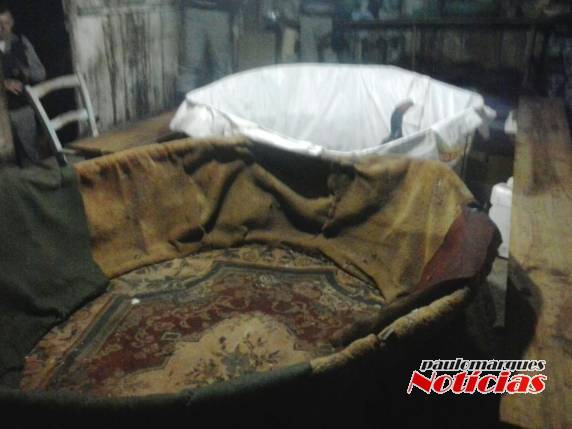 Brigada Militar flagra 31 pessoas em uma rinha de galos no interior de São José do Inhacorá - foto 3