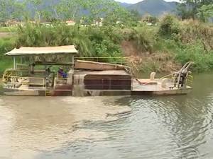 Animais mortos e árvores caídas às margens do rio alertam para problema