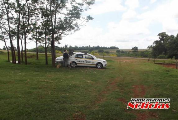 Ladrões furtam em residência de agricultores no interior de Três de Maio - foto 3