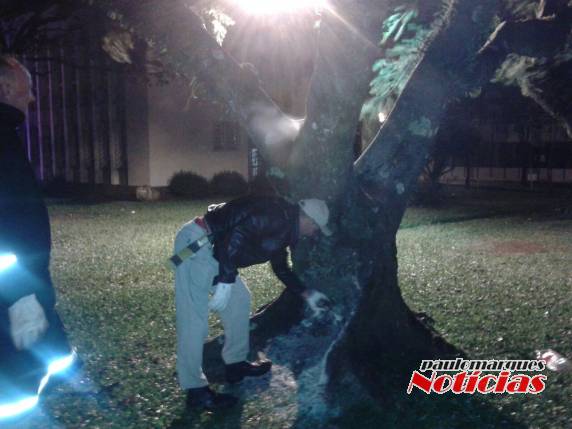O fato chamou atenção no largo da Prefeitura Municipal
