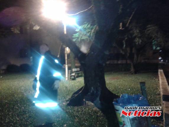 Bombeiros são chamados para combater um fogo inusitado no centro de Três de
Maio - foto 2