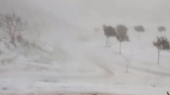 Chuva, vento, granizo e queda de árvores no Vale do Caí - foto 2