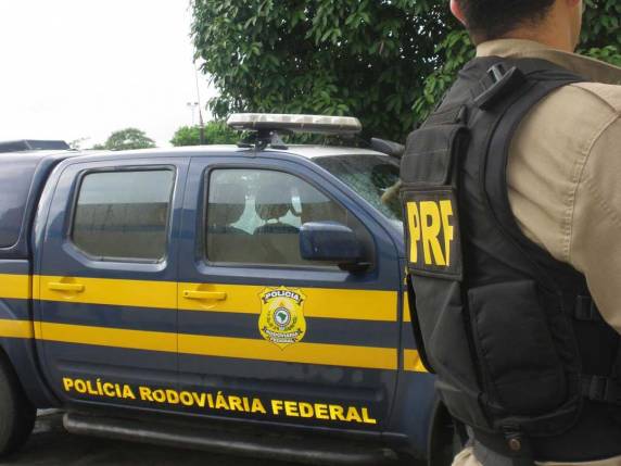 Nelci Faleiro, de 39 anos, levou 

aproximadamente 300 picadas