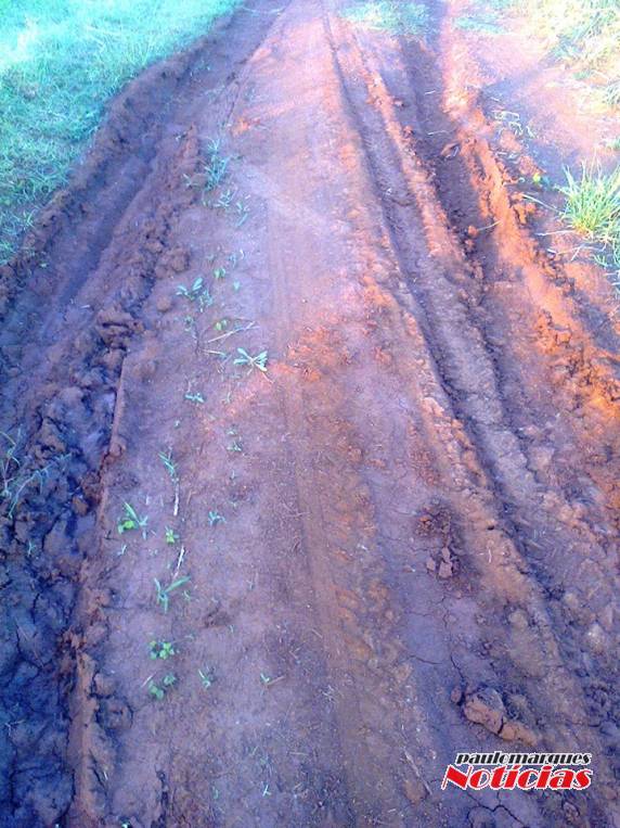 Moradores do interior de Independência publicam em rede social imagens de estrada - foto 3