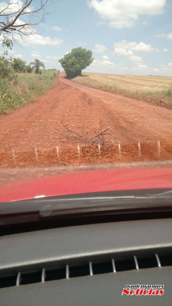 Motoristas reclamam de galhos que caem do caminhão da prefeitura de Três de Maio - foto 2