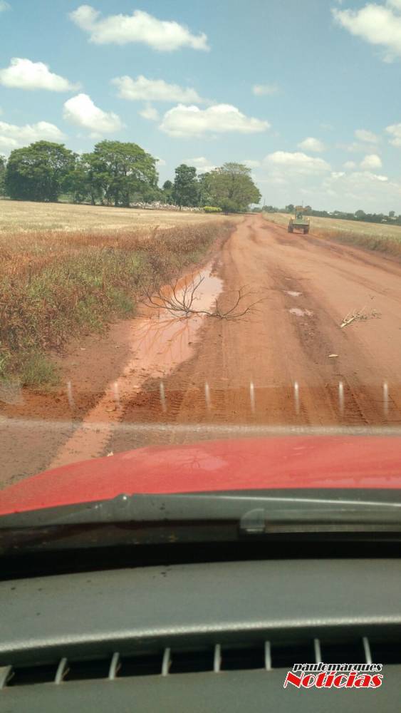 Motoristas reclamam de galhos que caem do caminhão da prefeitura de Três de Maio - foto 4