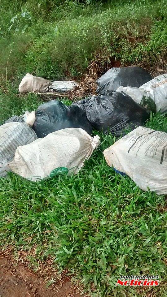 Descarte de lixo na margem da Perimetral em Três de Maio - foto 2