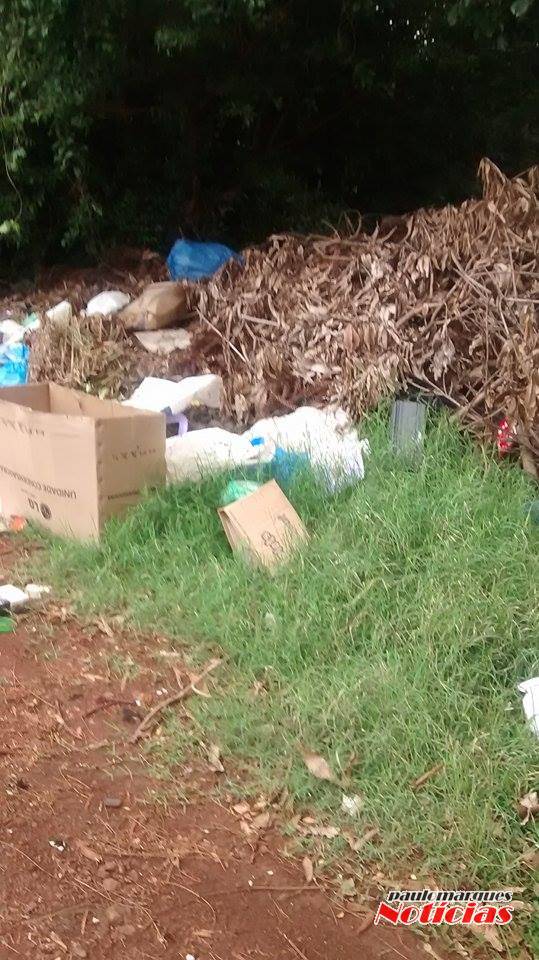 Descarte de lixo na margem da Perimetral em Três de Maio - foto 5