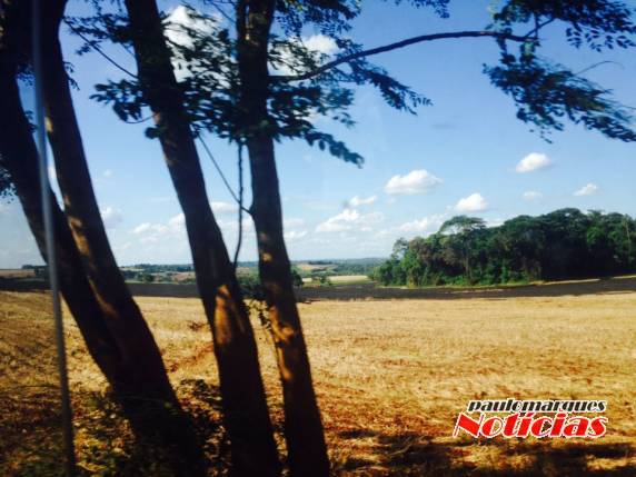 Incêndio atinge 

três lavouras no interior de Independência - foto 3