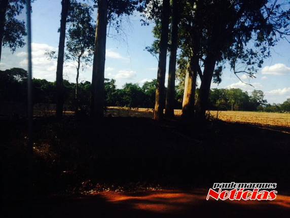 Incêndio atinge 

três lavouras no interior de Independência - foto 5