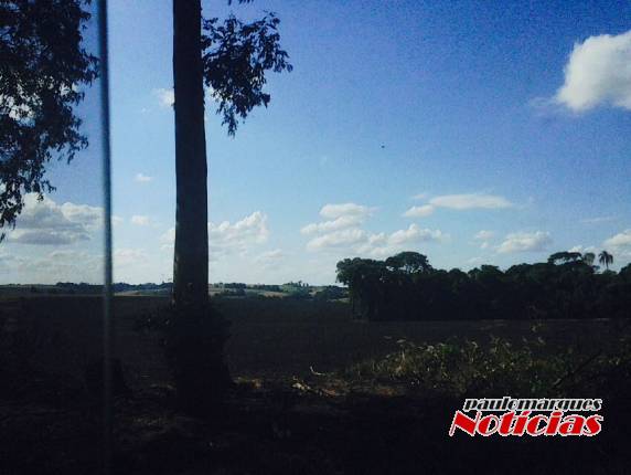 Incêndio atinge 

três lavouras no interior de Independência - foto 4
