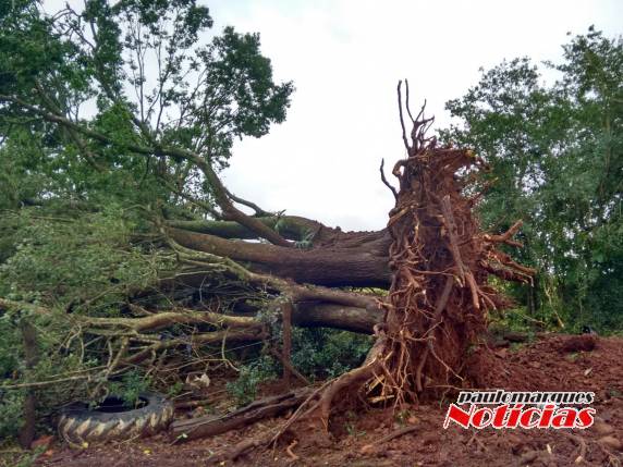 Temporal atingiu o interior de Tuparendi - foto 2