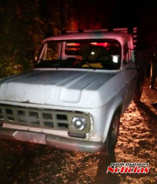 Polícia recupera gado na cabine de uma caminhonete - foto 3