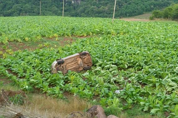 Carro para em lavoura de tabaco após acidente na RSC-481 - foto 3