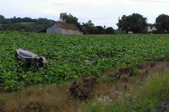Carro para em lavoura de tabaco após acidente na RSC-481 - foto 2