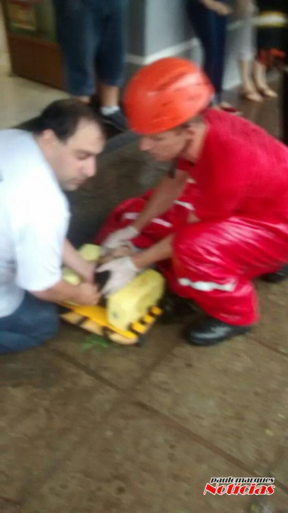 Queda de árvore deixa uma pessoa ferida em praça de Ijuí - foto 3