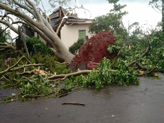 Vídeos: Tornado deixa rastro de destruição com feridos em Marechal Cândido Rondon, PR - foto 2