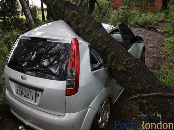 Vídeos: Tornado deixa rastro de destruição com feridos em Marechal Cândido Rondon, PR - foto 3