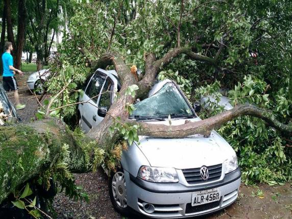 Vídeos: Tornado deixa rastro de destruição com feridos em Marechal Cândido Rondon, PR - foto 6