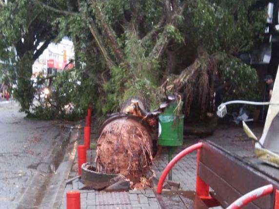 Ventos fortes atingem pelo menos 14 cidades catarinenses e deixam feridos - foto 2