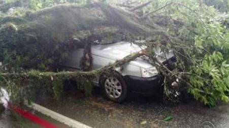 Olhei para
fora e não enxerguei casa nenhuma', diz morador após tornado - foto 2