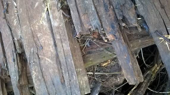 Situação de ponte é preocupante na divisa de Três de Maio e Santa Rosa - foto 5