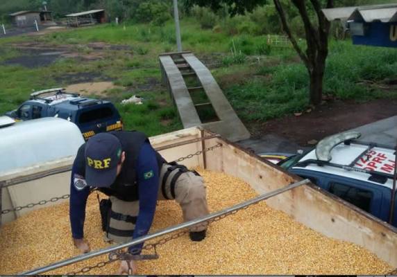 PRF faz uma das maiores apreensões de maconha da história do Brasil - foto 3