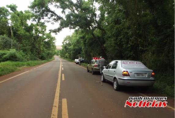 Saída de pista com danos materiais na ERS-342 - foto 5