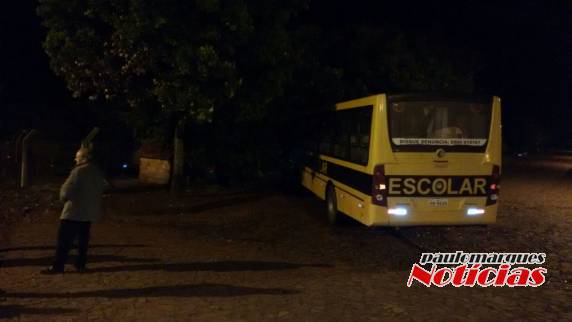 Ônibus da prefeitura de Alegria bate em árvore e derruba
poste de entrada de luz de uma casa - foto 2