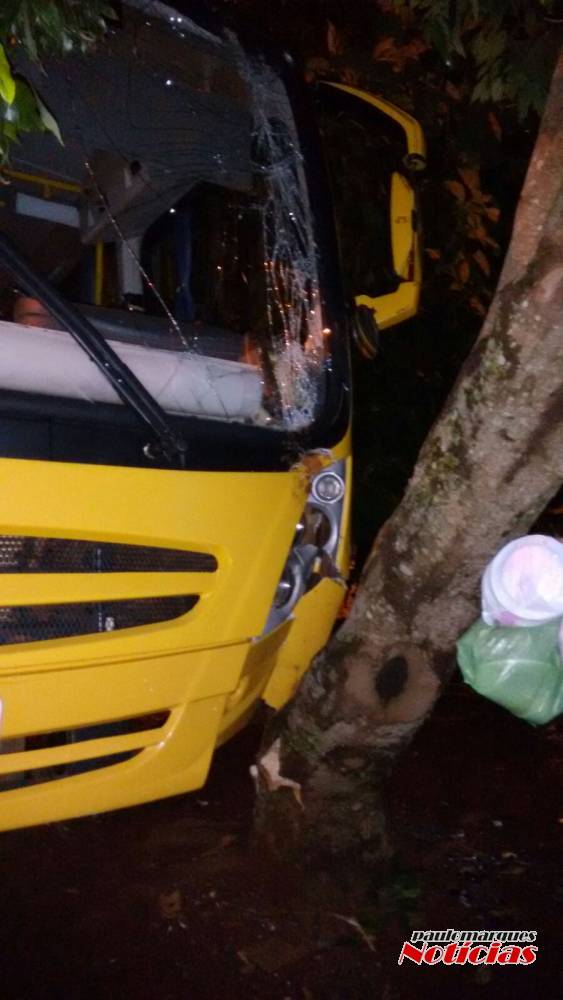 Ônibus da prefeitura de Alegria bate em árvore e derruba
poste de entrada de luz de uma casa - foto 3