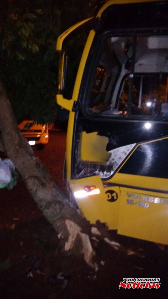 Ônibus da prefeitura de Alegria bate em árvore e derruba
poste de entrada de luz de uma casa - foto 5