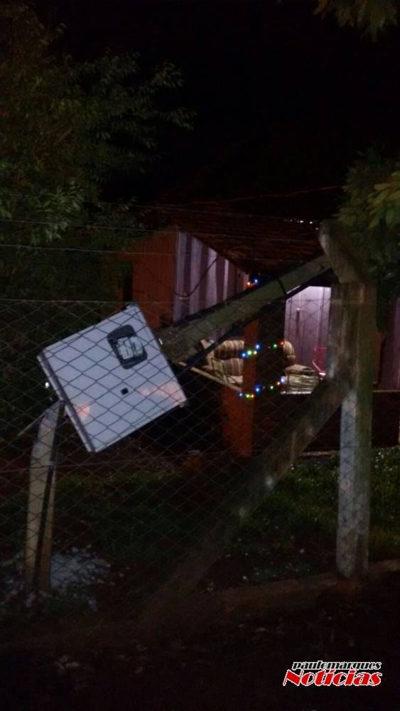 Ônibus da prefeitura de Alegria bate em árvore e derruba
poste de entrada de luz de uma casa - foto 7