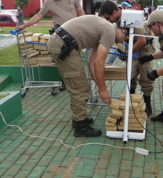 Polícia apreende mais 454 quilos de maconha em Campo Erê - foto 6