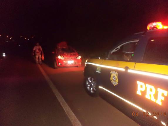 Atropelamento de cavalo na BR 285 causa lesões graves em condutor - foto 3