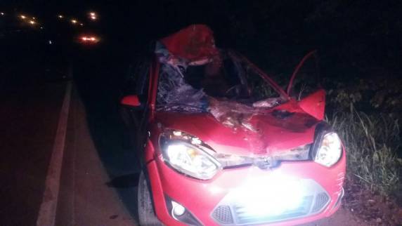 Atropelamento de cavalo na BR 285 causa lesões graves em condutor - foto 2