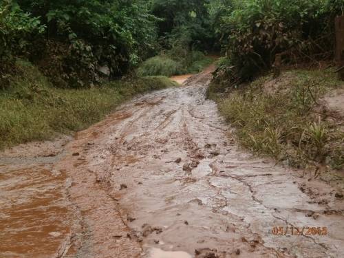 Confira as fotos dos estragos provocados pela
enxurrada desta sexta-feira em Crissiumal - foto 5