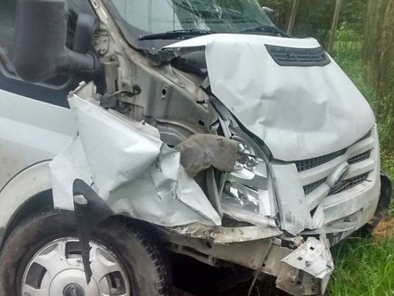 Três homens morrem em batida com três veículos em Pomerode, SC - foto 3