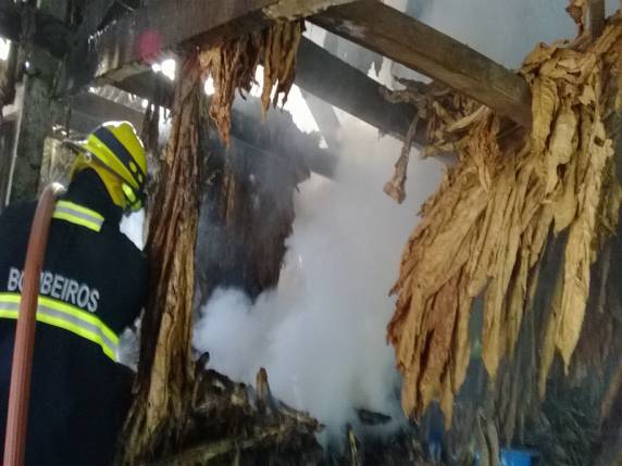 Incêndio em galpão de fumo leva agricultor ao desespero em Três Passos - foto 2